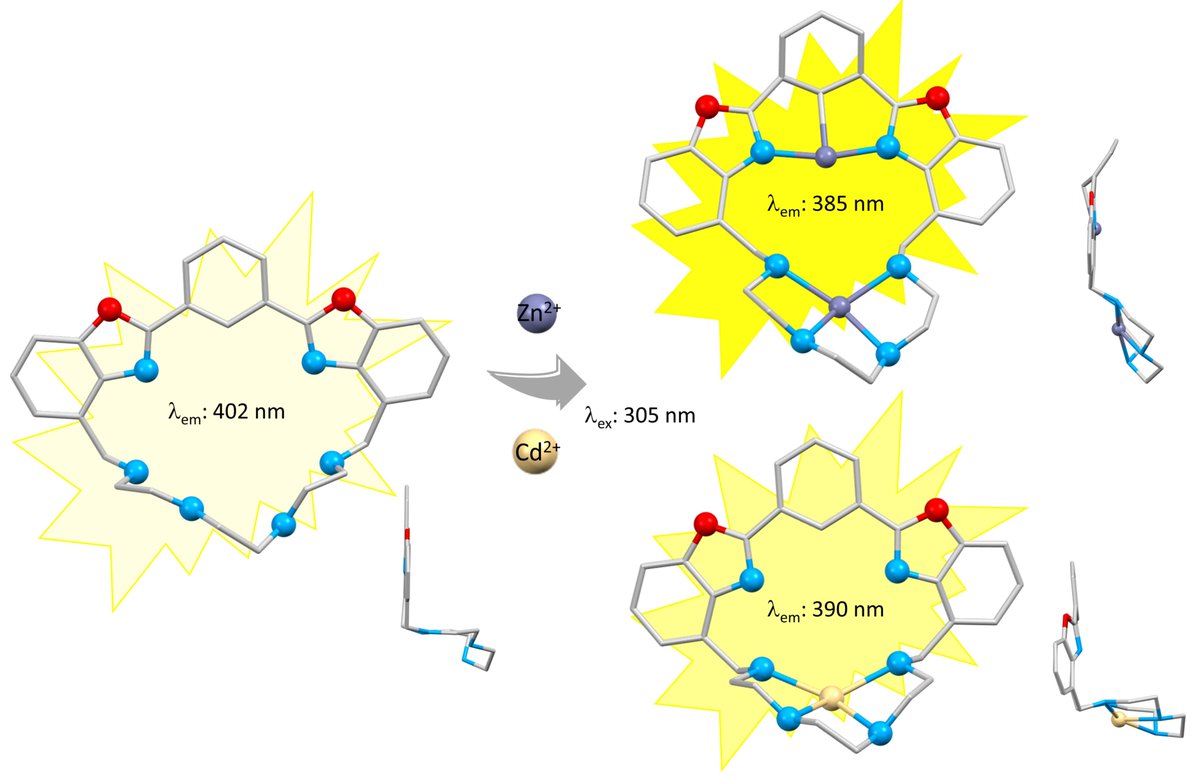 chemosens_MDPI's tweet photo. 📢#Article Highly-Cited Paper
A New Benzoxazole-Based #Fluorescent Macrocyclic Chemosensor for Optical Detection of Zn2+ and Cd2+ by Daniele Paderni et al.
👉https://t.co/rxyOCAlSZI
@MDPIOpenAccess @uniurbit @UniSalerno
#chemosensor #optical #sensor #sensing #detection https://t.co/zA2ehd4114