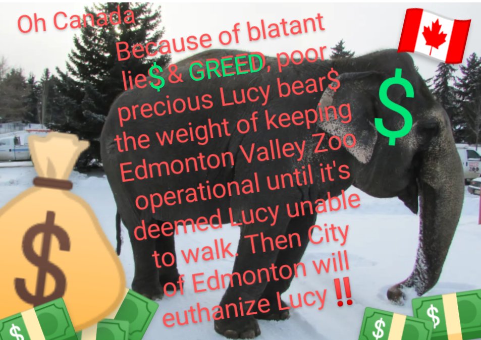 JulieKi53713414's tweet photo. ๐จ๐ฆ๐โ๏ธ๐ค๐ต๐ฆ๐ฟ
Edmonton Valley Zoo TORTURE$ poor preciou$ Lucy
FULL-STOP,
$ince 1977, until they $nuff her out as $he become$ more u$eLe$$ ๐ค๐ต๐ฆ๐โ ๏ธ๐ฅ๐ฟ #AnimalMortalityInsurance https://t.co/IpN16tR6y4