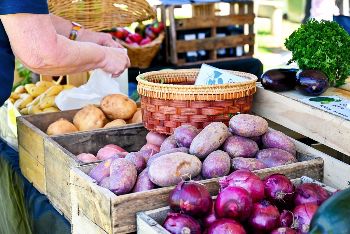 This weekend you can support local makers and growers at TWO fantastic markets 🧁☕ Visit the Woodside Market on Saturday at the Woodside Institute from 8 am to 1 pm, and swing by the Uraidla Market on Sunday at the Uraidla Institute from 10 am to 3 pm.