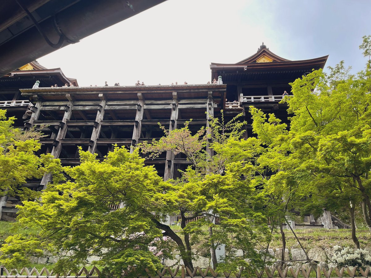 meariakashi's tweet photo. 무대 난간에서 떨어져서 살면 소원이 이루어 진다던데 대다나다 멋지다 https://t.co/oZAV3R2otC