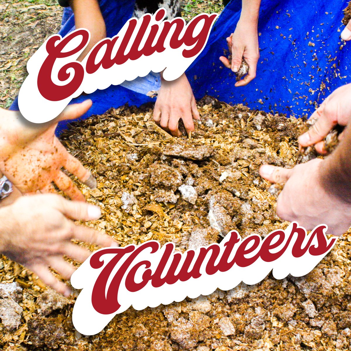 🤝 Calling all volunteers! 🤝

Do you want a free full pass to this year's Rad Myco! We're currently accepting applications for the gathering. It's a ton of fun to get a bit behind the scenes, connect with new friends, and help make this the best mushroomy event of the year!