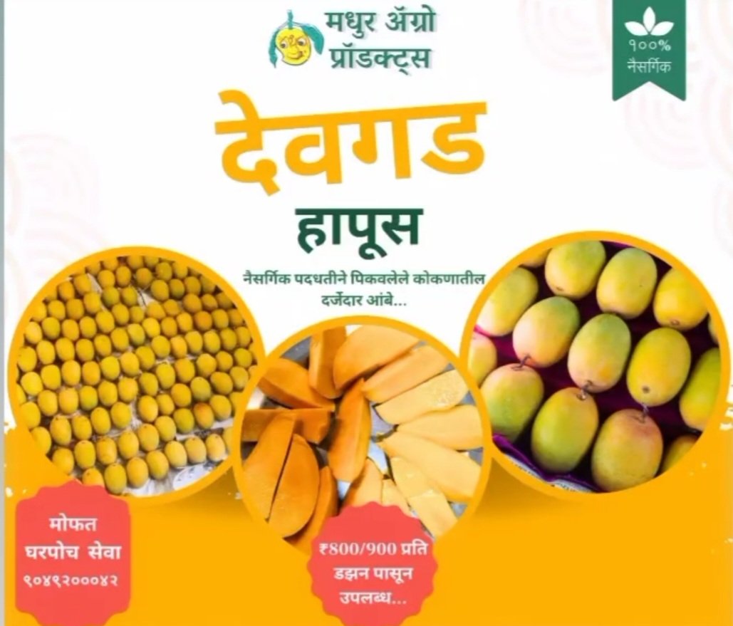 Hi everyone!Mangoes grown organically from our farm at devgad are available for sale!We have devgad hapus as well as Amrut payari variant for sale!Dm me for orders!#Mangoes #hapus #organicfood #farm2plate #Alphonso #organic #chemicalfree #Maharashtra #pune #Mumbai #satara