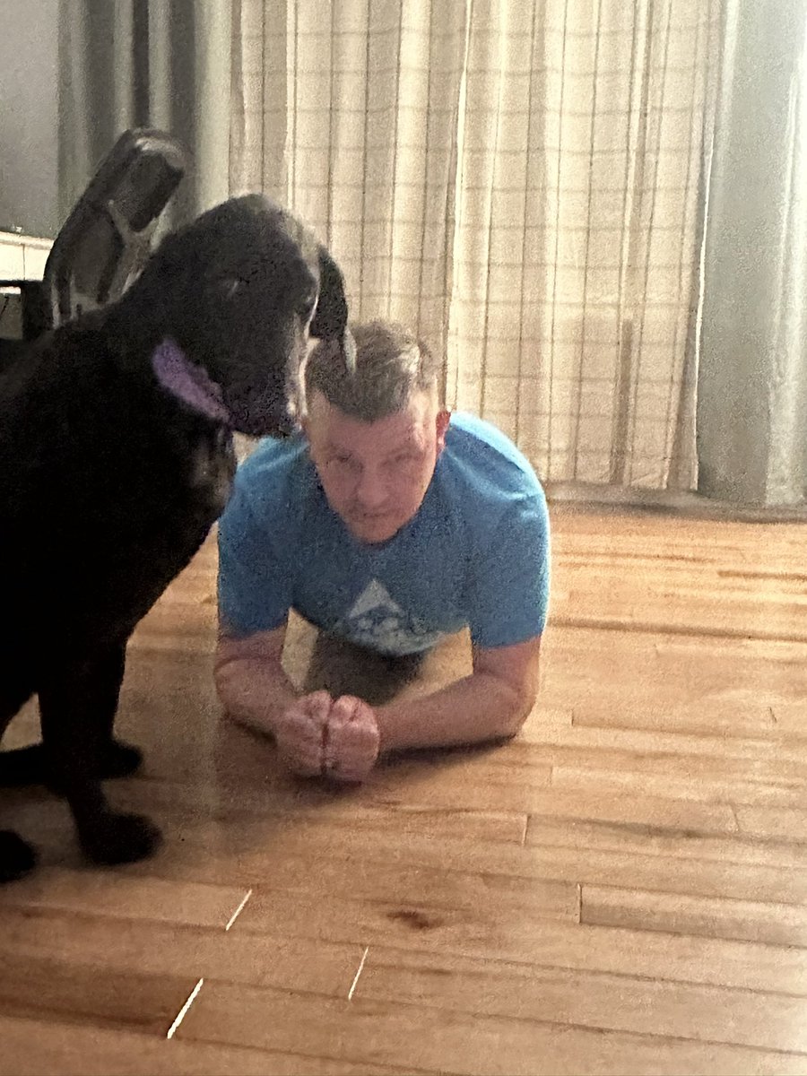 peoples_unicorn's tweet photo. #Day18 #PlankChallenge #HRPChallenge #PlankingWithPatriots #30DayPlankChallenge #ACFT #FamilyPlank @realNickCurry
Bonus dog included! https://t.co/1sYnMAyqag