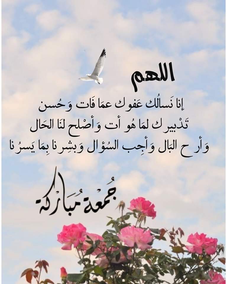 #بوح_اخر_اليل —•✦❁ ⿻❁✦•— جارىالكتابة بـ قلمي             ﷽ 📊 اللهم 🤲⚘ إنا نسالك عفوك عما فات وحسن تدبيرك لما هو آت وأصلح لنا الحال وأرح البال وأجب السؤال وبشرنا بما يسرنا جمعة مباركة 🤲❣ 🌹مساء النور 🌹 —•✦❁ ⿻❁✦•— @Sddds447_