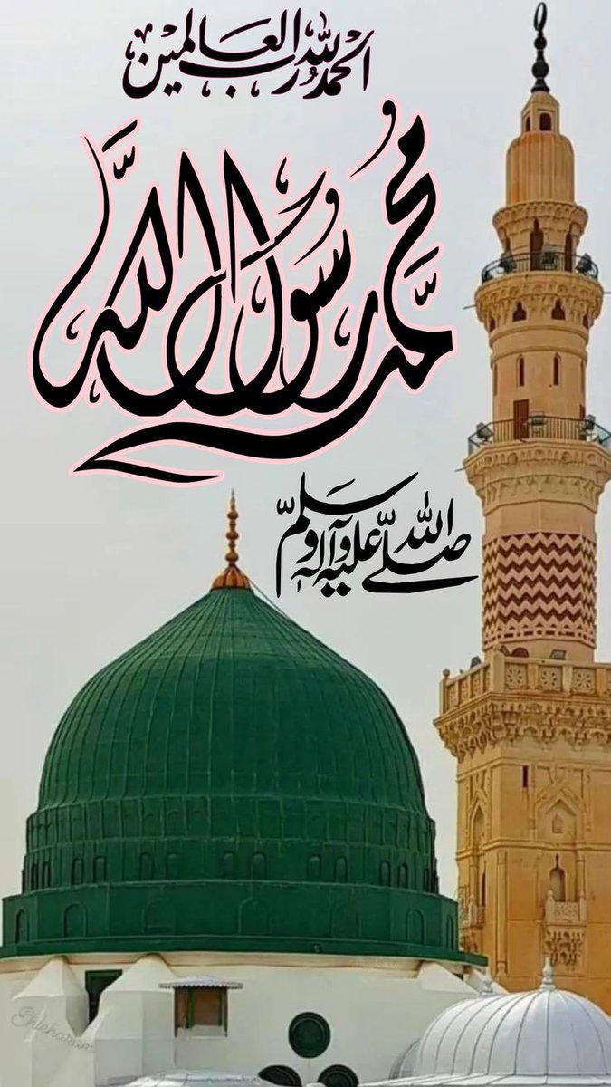 Assalam o alikum ♥️
Good morning 🌄
Mashallah ♥️