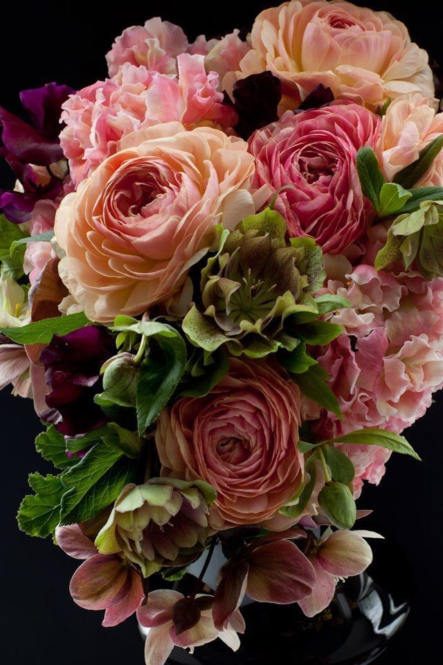 Rita van der Wal (back up account)🎗 tweet media