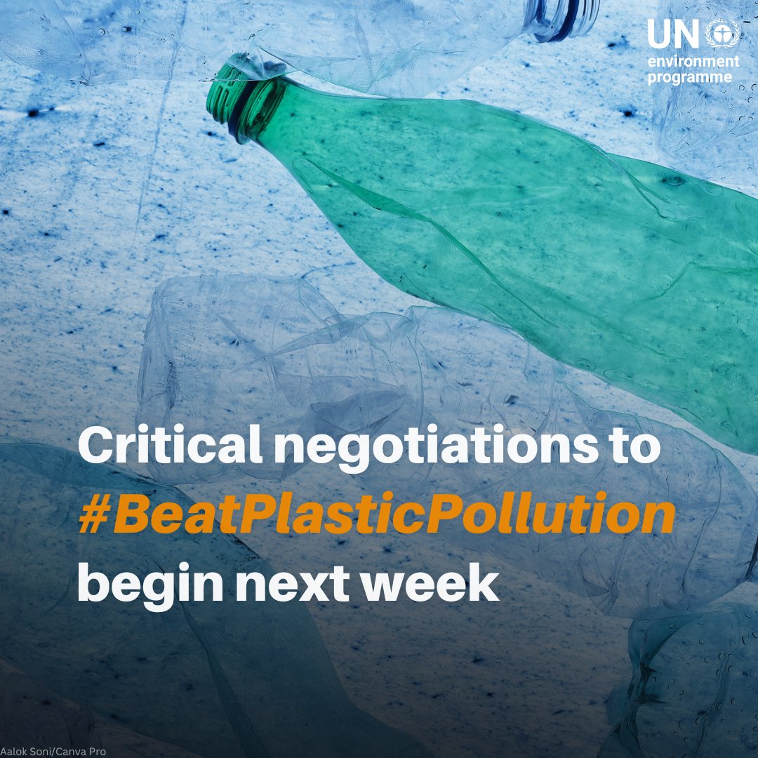 UN Environment Programme tweet media