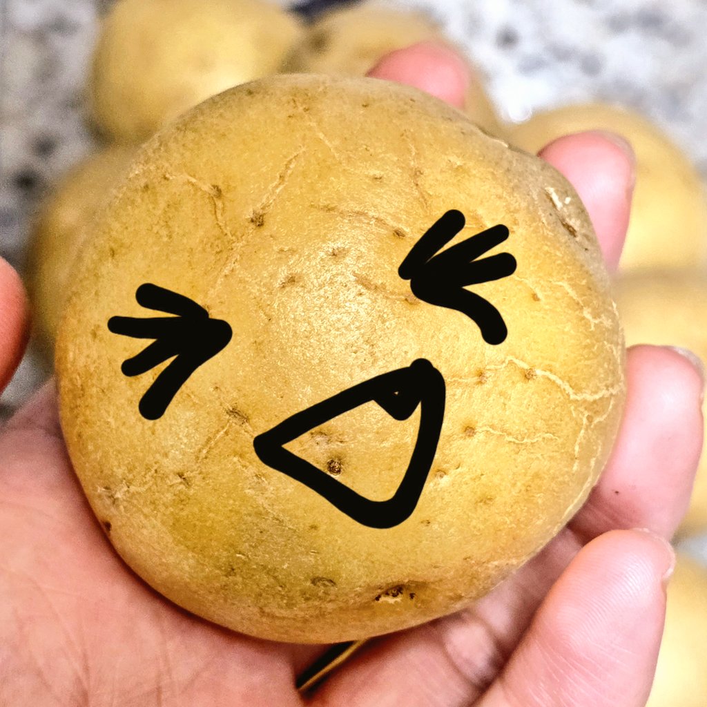 bow_wow0406's tweet photo. 🥔 잘받았습니다!! 감자가 민규 닮아서 다 잘생겼어요🥰 잘먹겠습니다 와앙🖤🖤🖤
@gamjamingyu__ https://t.co/lyNnAQKSOI