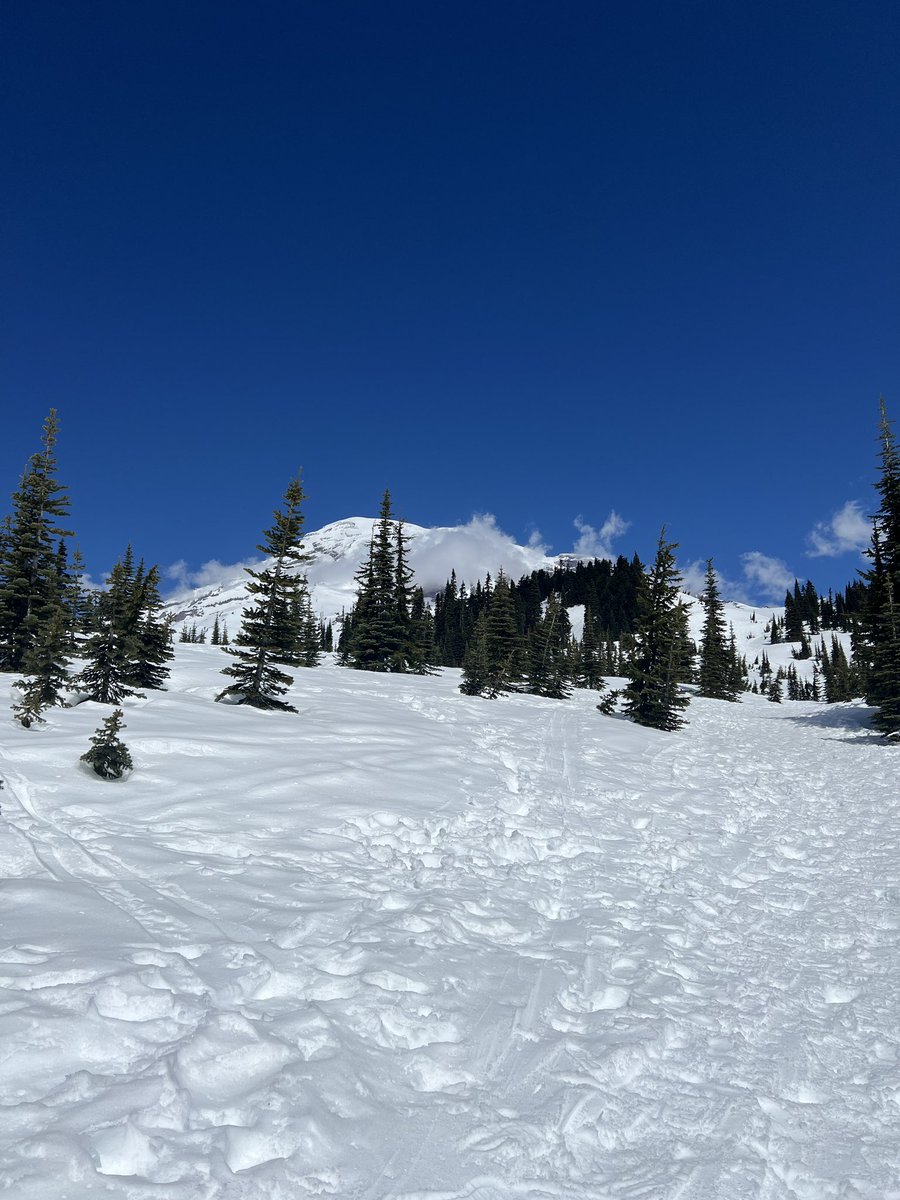 Checked off National Park No. 14, @MountRainierNPS, today and got to play in snow too. 14,409 ft stratovolcano. Beautiful place! #findyourpark #publiclands