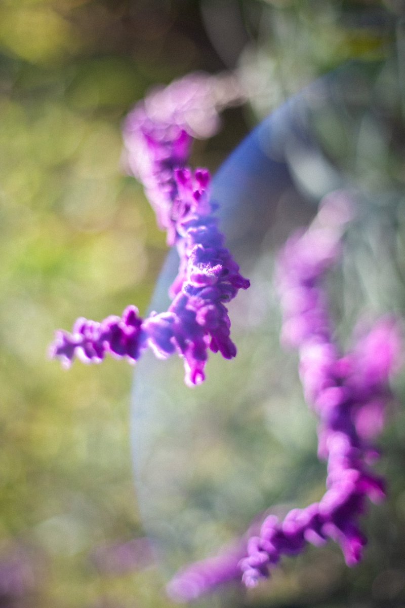こころが透き通る写真

#こころが透き通る写真
#meditativephotosession