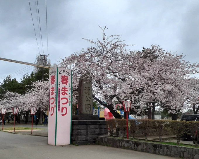 午前中にお花見行ってきました曇り空だったけど、桜楽しめました午後からは原稿頑張ります 