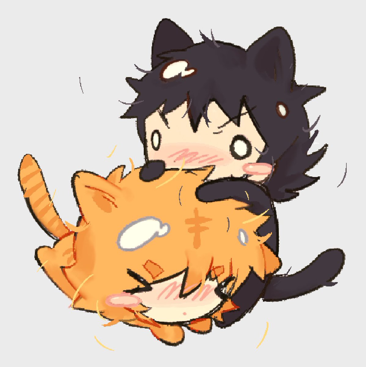 ufohamster's tweet image. scollace cats