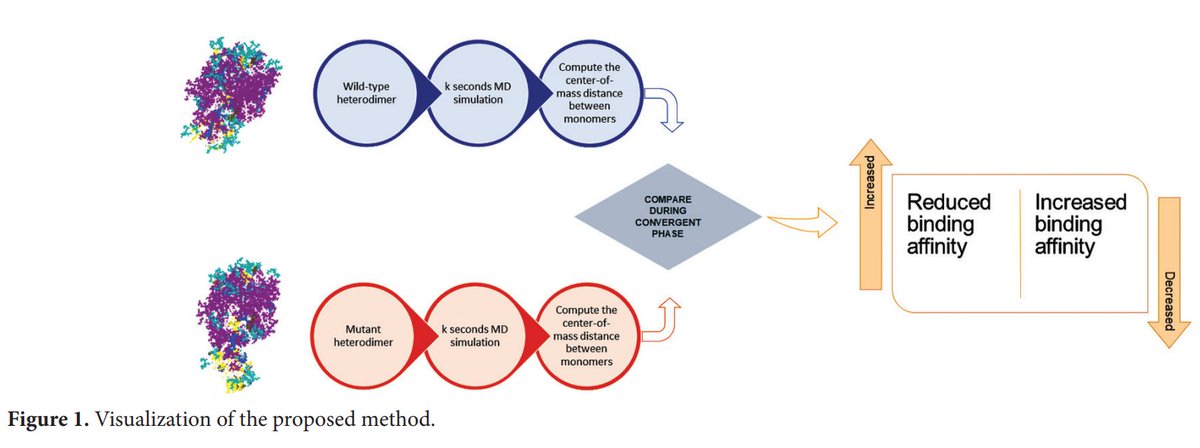 ⚡ New publication: On the in #silico application of the center-of-mass distance method By Done Stojanov. Read it here #OpenAccess: doi.org/10.36922/gpd.2…