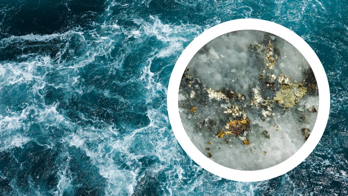 🌊 Findings from a recent study using @EMSLscience's atom probe tomography will help scientists apply #pyrite trace metal concentrations to analyze and quantify early ocean chemistry and the ocean’s evolution through time. Read more: bit.ly/4csKxSH @UofT #ocean