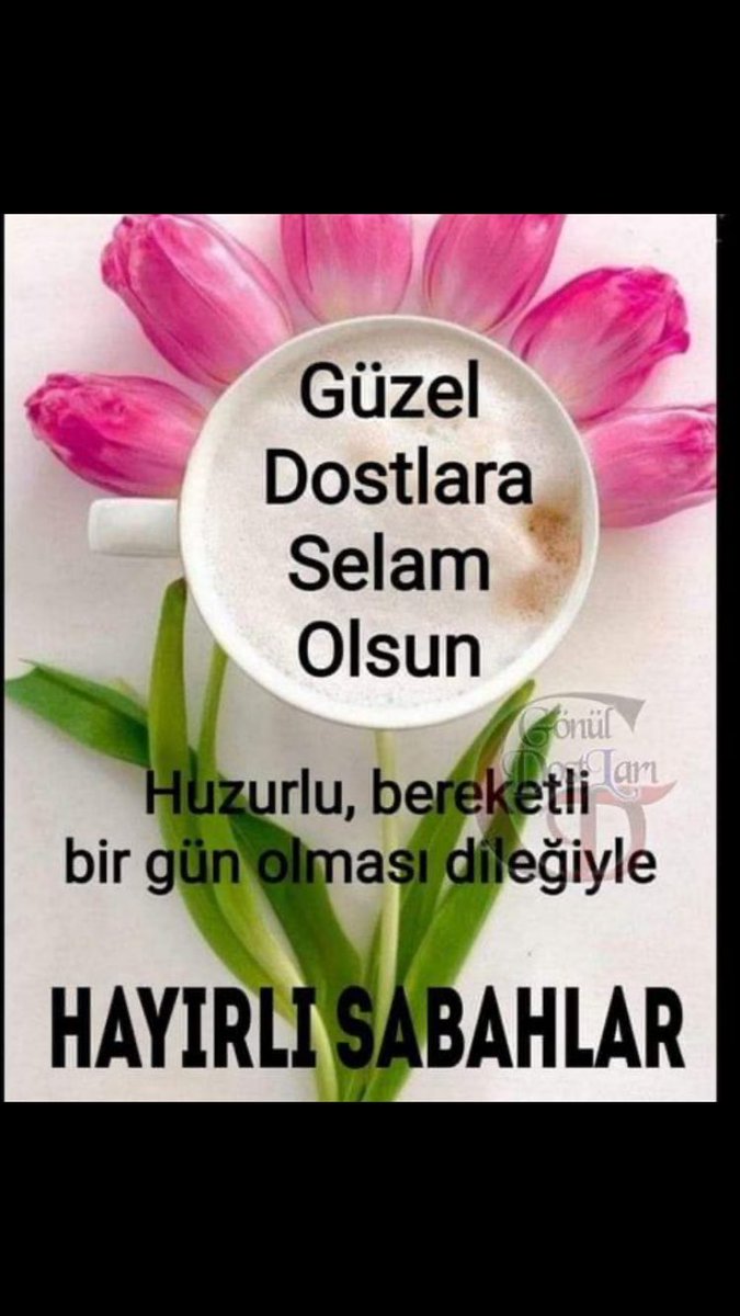 Hayırlı sabahlar dostlar 🌹🌹🌹cuma günümüz mübarek olsun inşallah Rabbim ettiğiniz bütün dualarınızı kabul etsin 🌹🌹🌹🌹🇹🇷🇹🇷🇹🇷🇹🇷🇹🇷🇹🇷🇹🇷🇹🇷🇹🇷🇹🇷🇹🇷🇹🇷🇹🇷🇹🇷🇹🇷🇹🇷🇹🇷🇹🇷🇹🇷🇹🇷🇹🇷🇹🇷🇹🇷🇹🇷🇹🇷🇹🇷🇹🇷🇹🇷🇹🇷🇹🇷🇹🇷🇹🇷