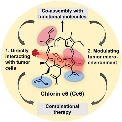 New Review📖
'#Ce6 nanoassemblies: Molecular mechanism and strategies for combinational anticancer therapy' by Weiping Wang et al. @Weiping_HKU @HkuPharm @hkumed @WileyBiomedical #CancerResearch #nanomedicine #PDT #SelfAssembly

Check👉doi.org/10.1002/agt2.4…