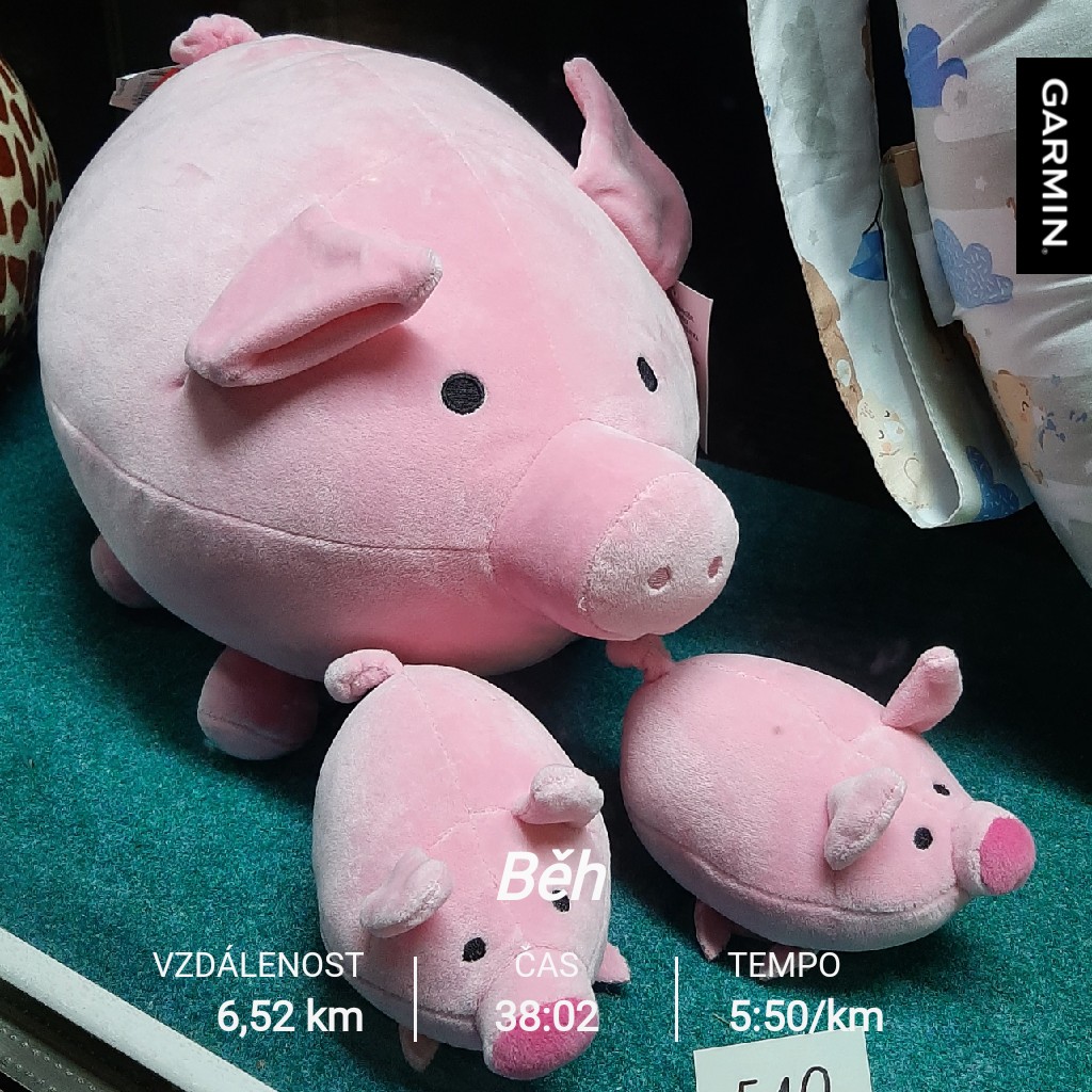 ... páteční opět zimní ❄🧤#morningrun okolo prasátek 🏃‍♀️👟🤣🐖🐷 ...
#threelittlepigs
#morningrunning
#morningmakestheday 
#garmin #beatyesterday