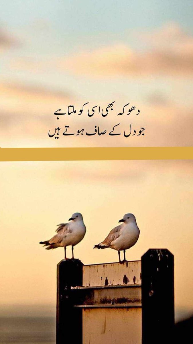 Amnakhan (@amnakha61) on Twitter photo 
