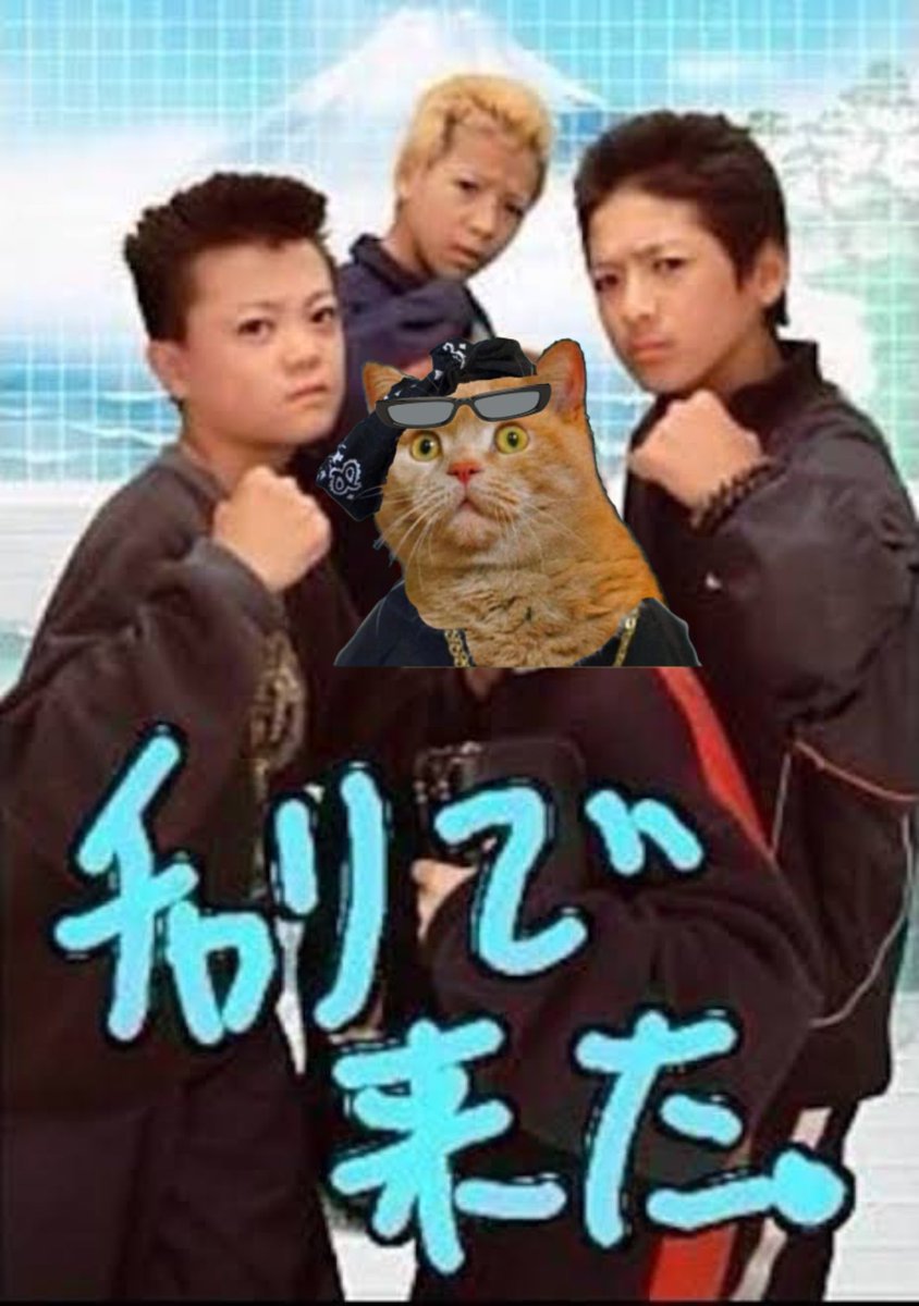 Bastetrak猫神 (@bastetrak86) on Twitter photo 