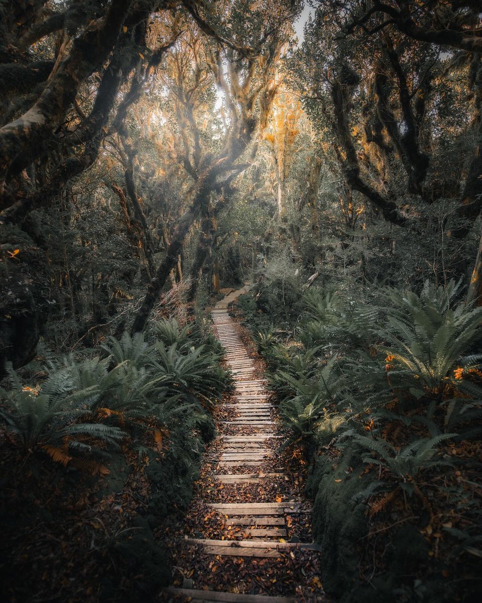 Pathway