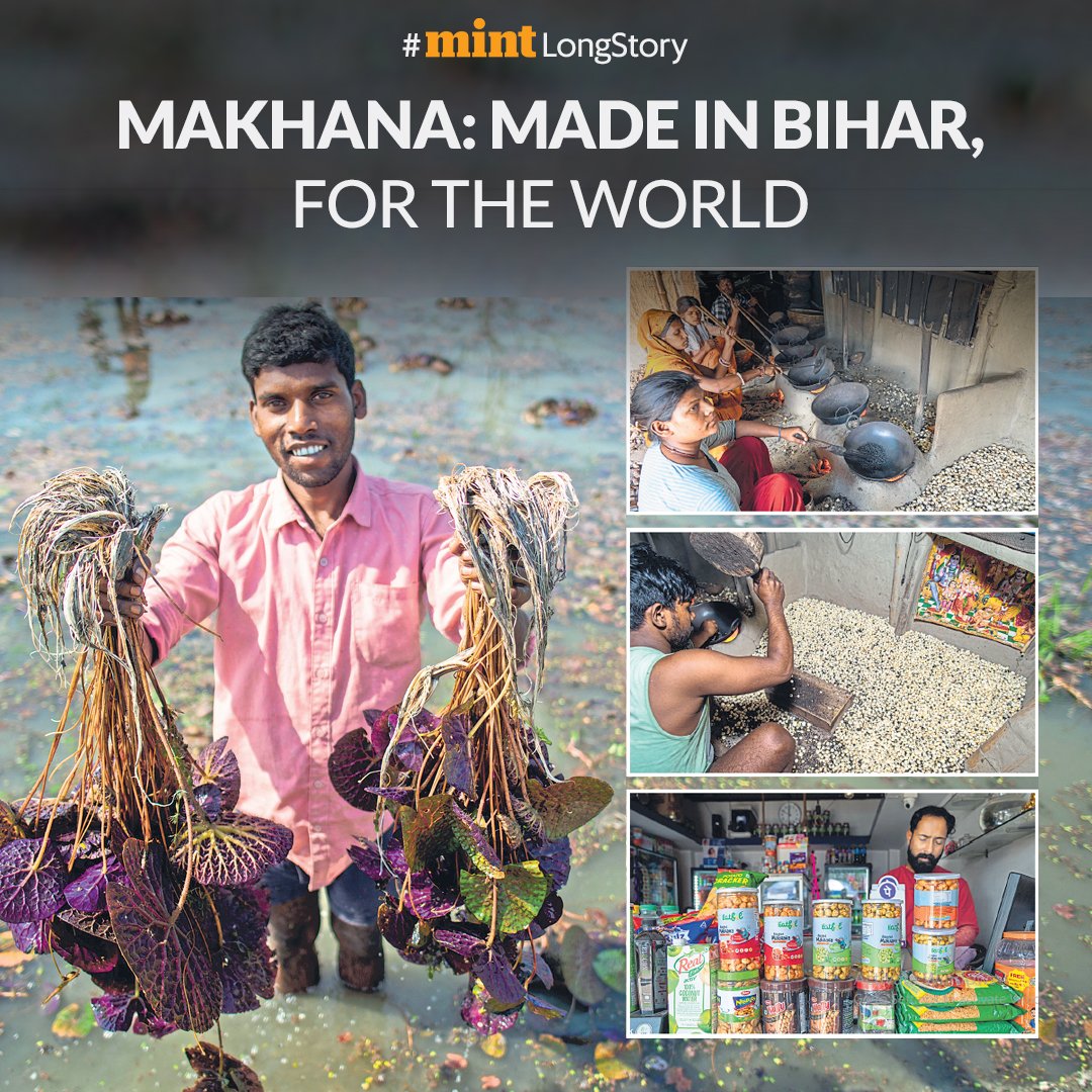 #MintLongStory | Families in a Bihar village engage in labor-intensive makhana cultivation and popping, contributing to the global snack market despite facing challenges like manual labour and lack of mechanisation.

Read here: read.ht/S78u