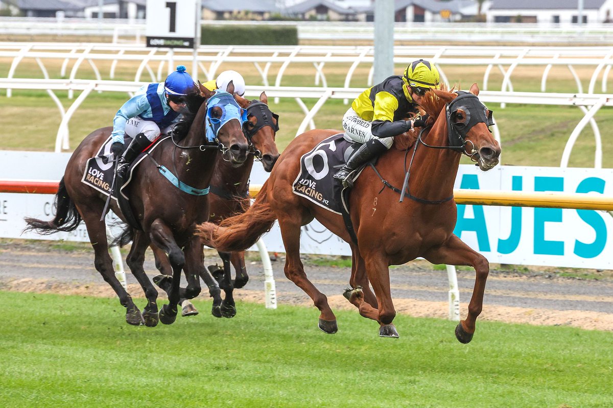 . <a href="/PattersonStable/">Robbie Patterson</a> has already won twice as many Group and Listed races in 2023-24 as any other season in his career, and the New Plymouth trainer has three chances to add to that tally at Riccarton on Saturday.

📖 Read more: buff.ly/3W7jPJC