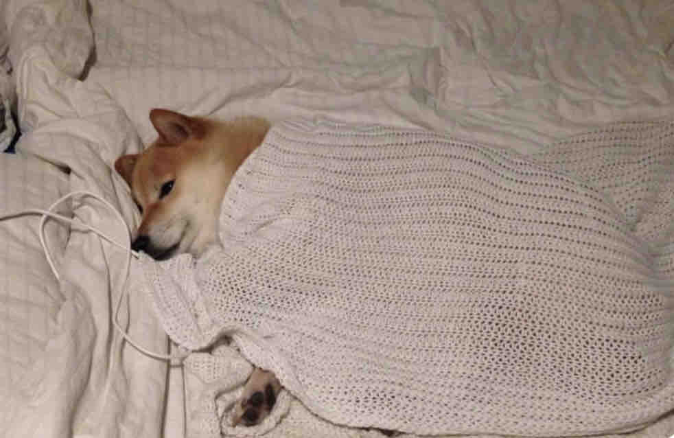 Guarromantico_'s tweet photo. Ya ni hablo con nadie yo nomás puro chambear y dormir. https://t.co/5GL97l0QdJ