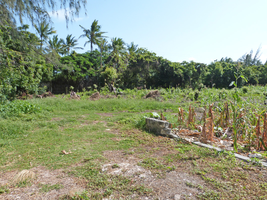 2 x Half acre plots for sale near Prawn Lake in Mida Forest, a short walk from Watamu Marine Park beaches.  Ideal for a dream home with potential views of mangroves and Prawn Lake. Priced at Ksh 10 million per plot.  #DiscoverWatamu #propertysales  #kenyacoast
