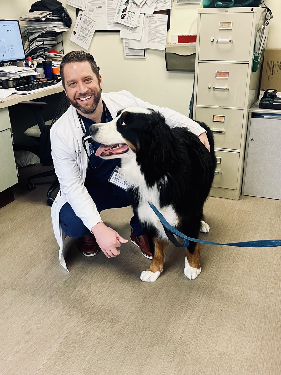 Reason 1,762 why I love being a Physiatrist! 🐶🩼🦾 #therapydog #rehabmedicine #teddy