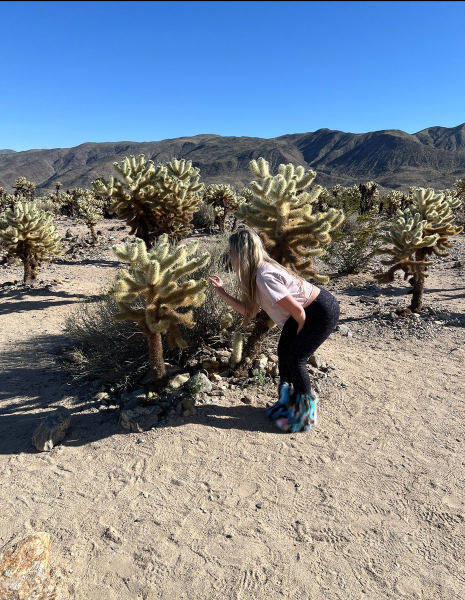 MetalHead_Gypsy's tweet image. Joshua Tree, you were badass 🤘🏼#JoshuaTree #SkullRock #AppropriateHikingAttire💁🏼‍♀️