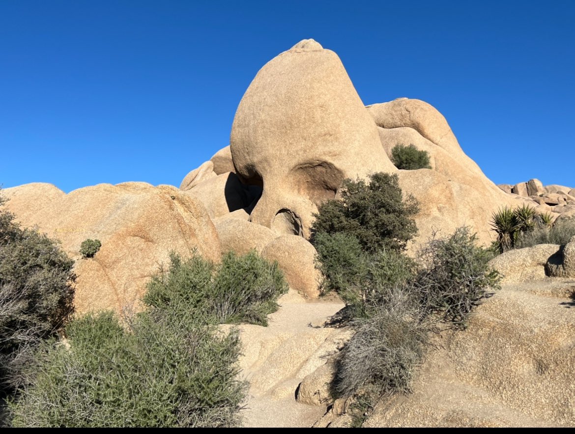 MetalHead_Gypsy's tweet image. Joshua Tree, you were badass 🤘🏼#JoshuaTree #SkullRock #AppropriateHikingAttire💁🏼‍♀️