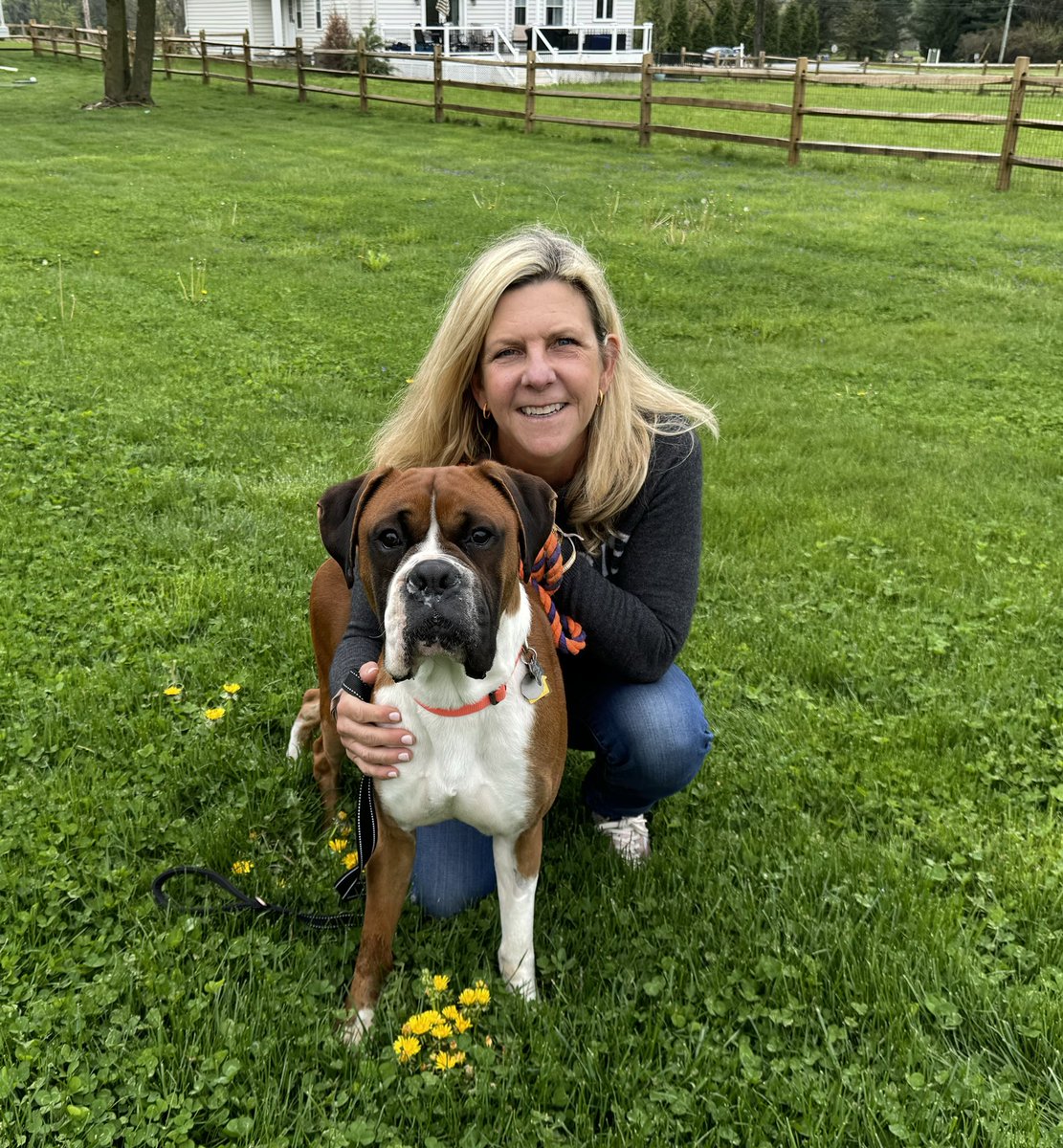 Family is everything to a dog. And Duncan found his! Happy adoption day Duncan. #adopted #family #rescuedog #saynotopuppymills #boxerdogs #boxerdoglover #boxerlife #adoptdontshop #afostersavedmylife