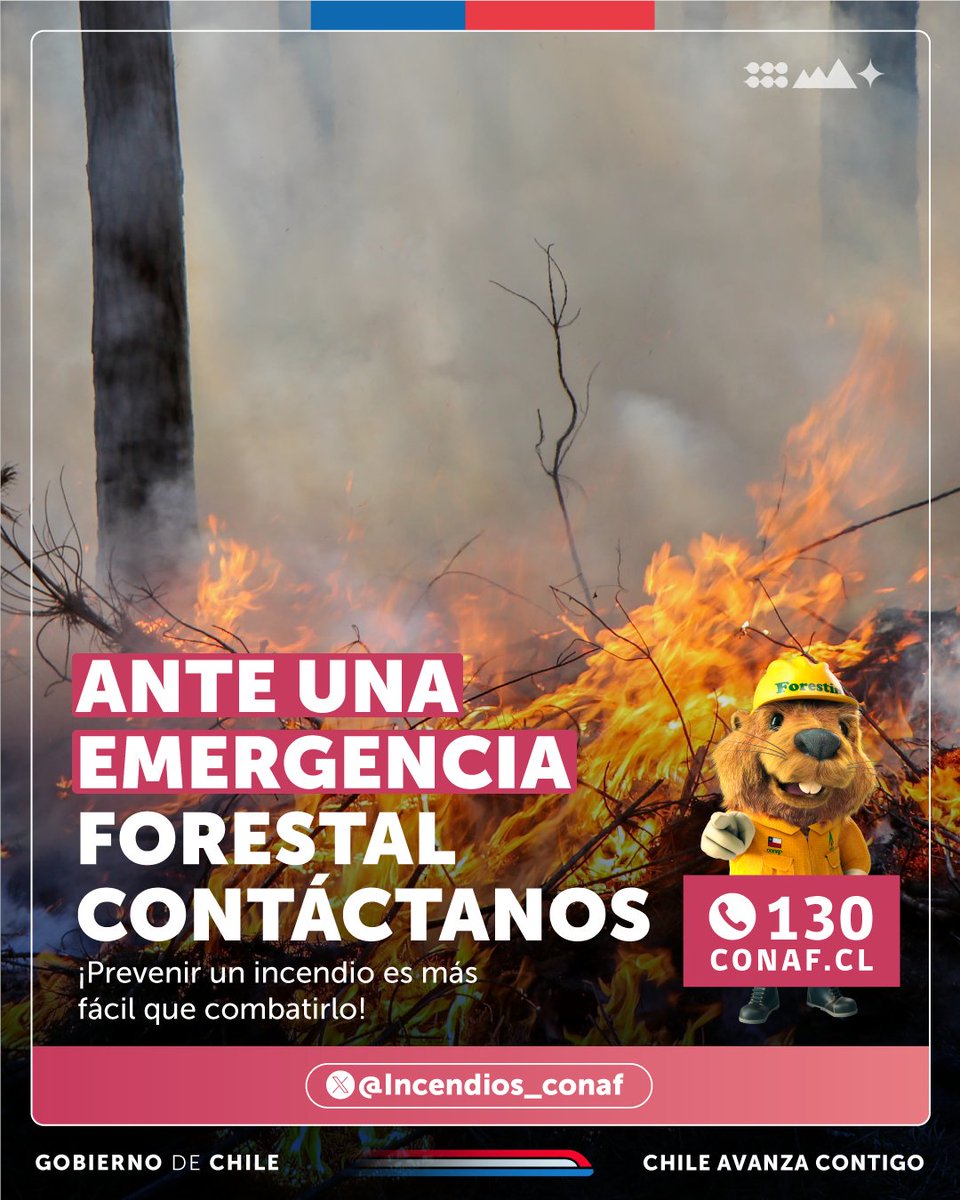 ATENCIÓN⚠️Si ves humo en zonas con vegetación, cerros o bosques, llama oportunamente a los números de emergencia: 📲130 #CONAF 📲132 #Bomberos 📲133 #Carabineros 📲134 #PDI