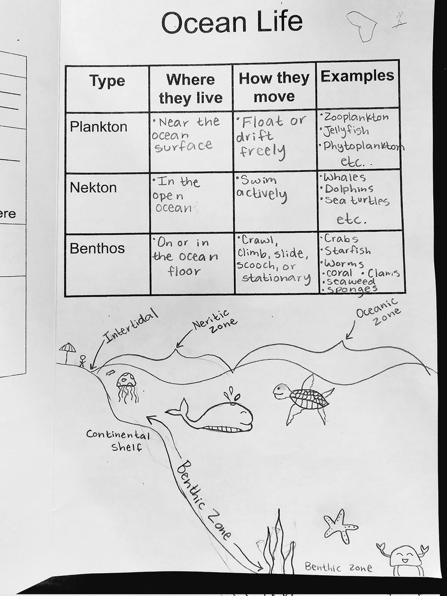 As a lifelong doodler, I didn't know as a child how beneficial doodling was in my notetaking. Now that I know the connection between drawing and increased memory retention, I regularly incorporate sketches into my guided notes. Check out samples of our notes. <a href="/ROSArockets/">Royal Oaks School of the Arts</a>
