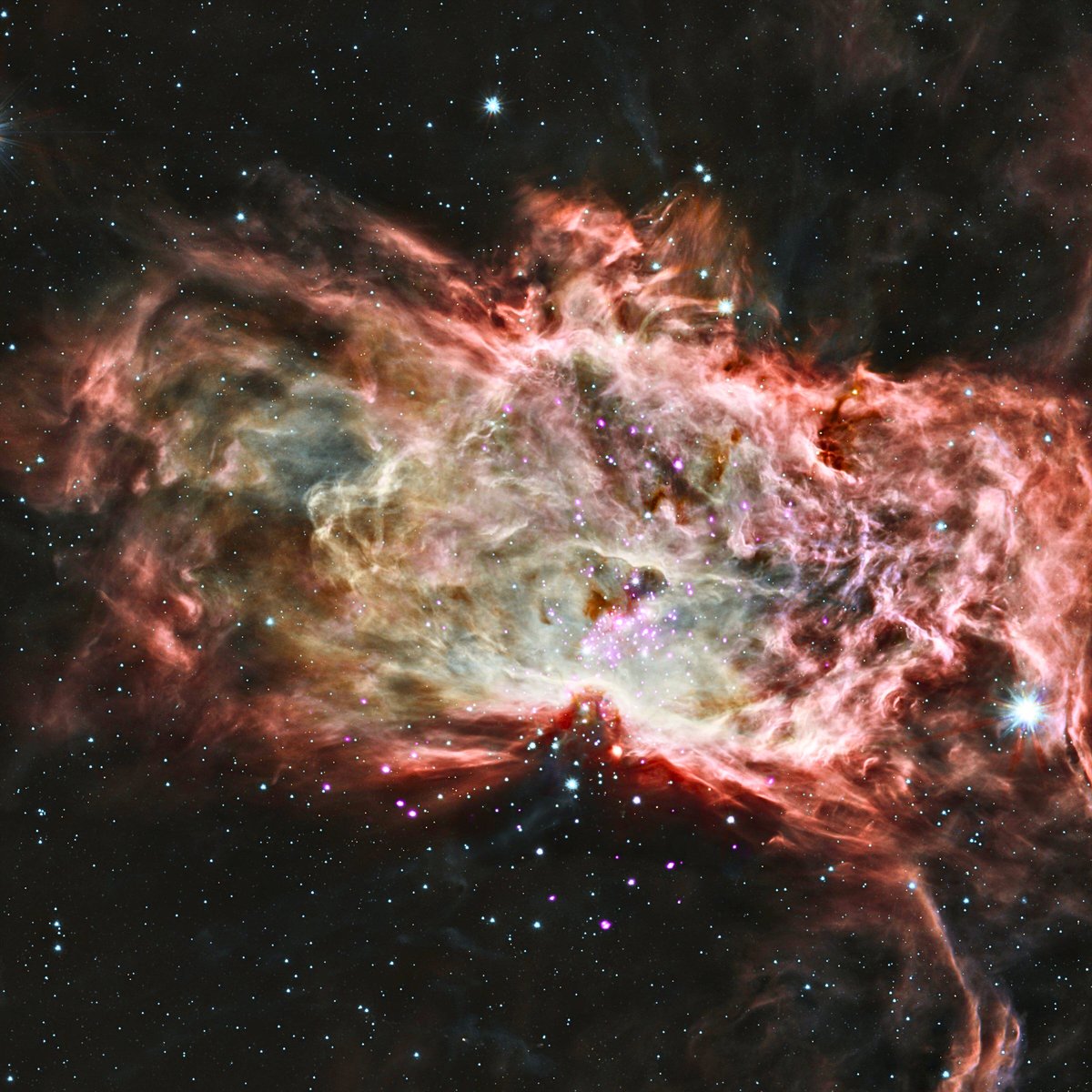 This composite image shows one of the clusters, #NGC2024, which is found in the center of the so-clled #Flame #Nebula about 1,400 light years from #Earth. 

#space #astronomia #sky #nature #astronaut #solarsystem #nightphotography #planets #astrophoto #mars #nebula #hubble #art