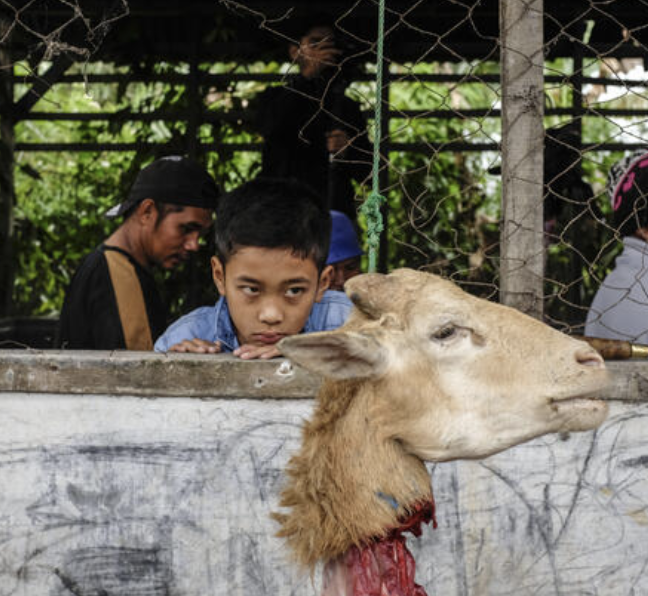 MumukshuSavitri's tweet photo. When kids grow up cutting animal's throats &amp; celebrate bloodlust on festivals, they become fully desensitized to violence. That's why Fayaz has no remorse at slaughtering Neha.

Add in a book full of contempt for Kafirs as subhuman &amp; you get unimaginable horror.
#NehaHiremath https://t.co/qQatwcyJNS