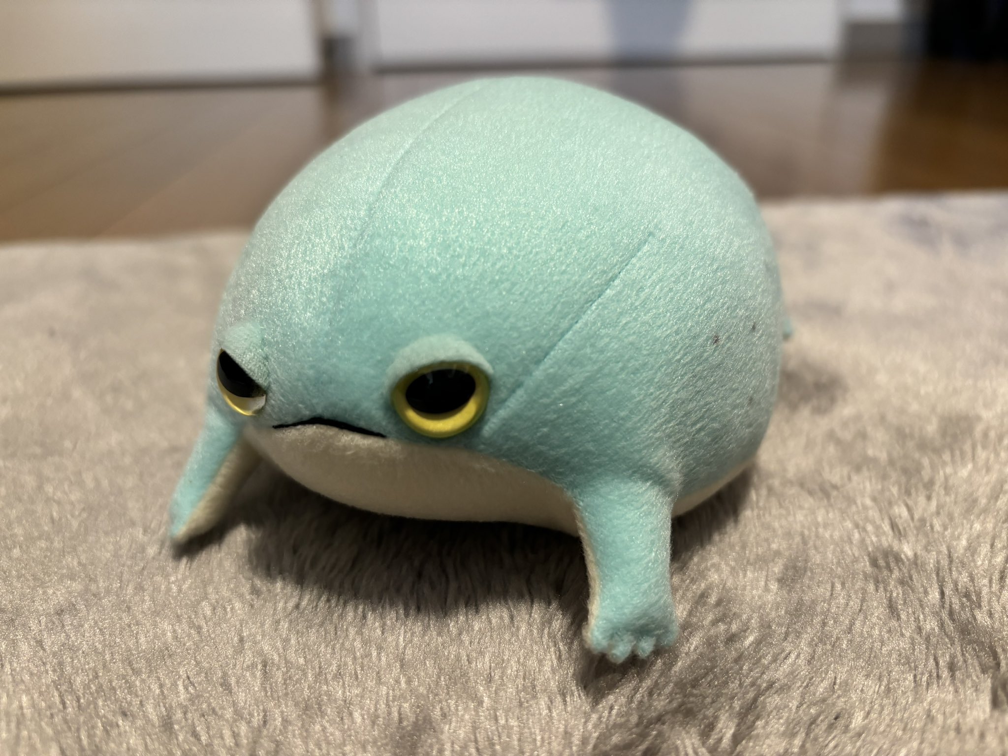 木米の木箱　中身の壁掛け花生は真贋不明のオマケです。 生徒様の作品（姫水木） | 京都・宇治 生け花よもやま話