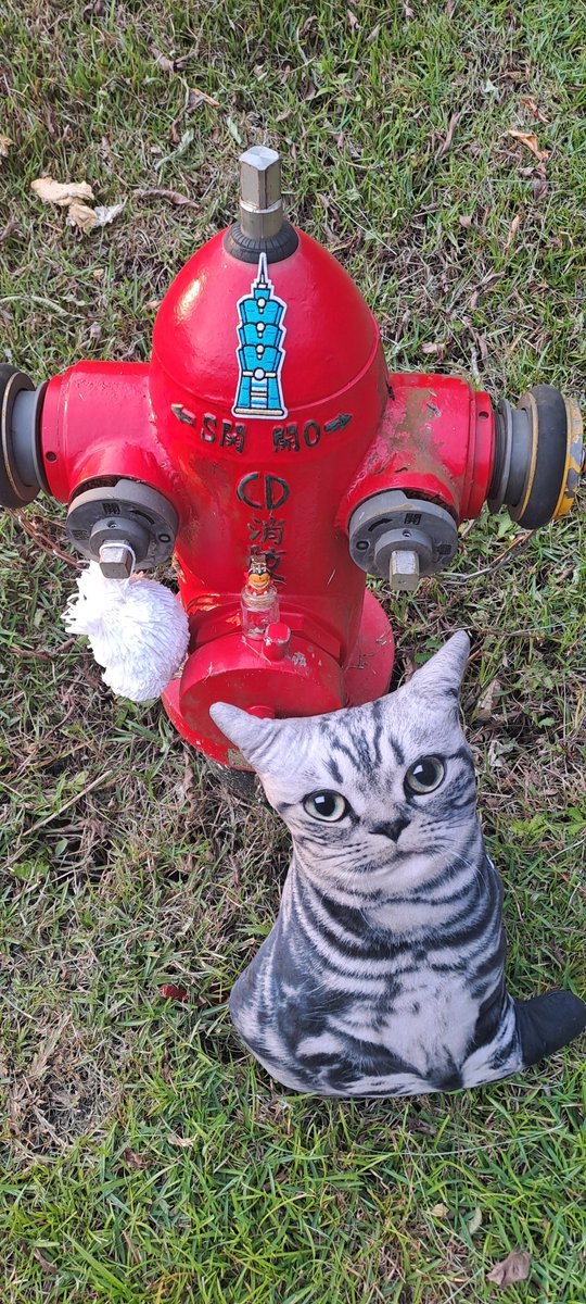 #貓青天 #貓頭鷹
#消防栓 #台北101
#黑臉媽祖 #玉長隧道
#玉里 #長濱 #玉長公路
#青龍變佰萬萬灣鳳年 #島數計時
#師姐抹日 #關閉太陽 #火神的眼淚
#水神的笑容 #風神的高歌 #山神的復仇
#終星羋時八寶無一關心祂 #天地投票 👋❤️✨️😇