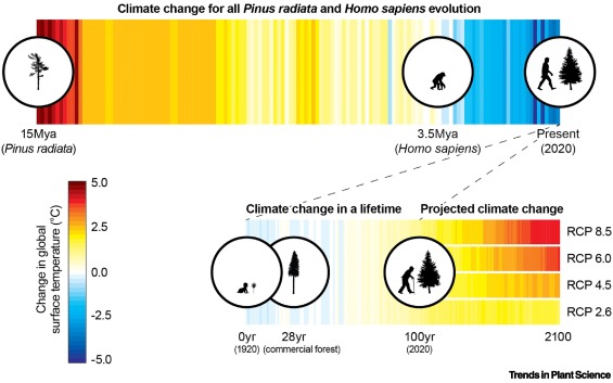 New paper from the lab- Partner or perish: tree microbiomes and climate change - in @TrendsPlantSci led by our PhD student Sarah Addison @sl_addison @westsyduhie sciencedirect.com/science/articl…