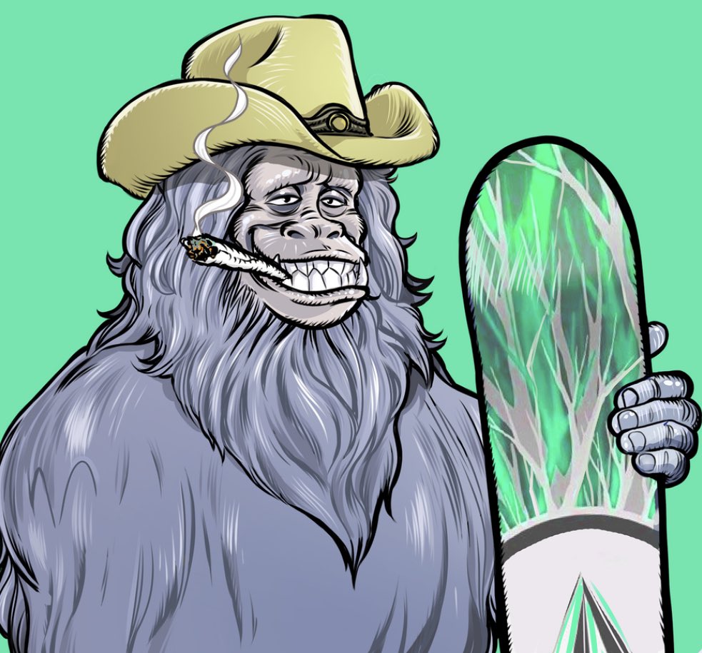 Rocky ✳️⛰️ tweet media