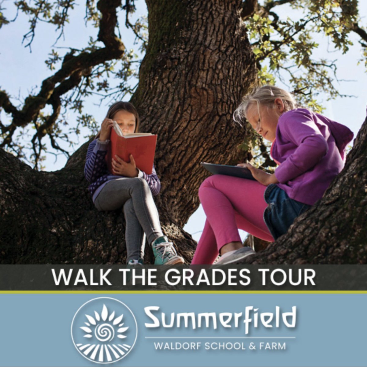 Summerfield Waldorf School & Farm tweet media