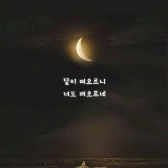 onlymoonn's tweet photo. 오늘하루는 실컷 보고싶어하고 그리워하고
조금만 슬퍼할게 
다시만나는 그날까지 우리 서로 잘지내고
만나면 못다한 말 많이하자 

#문빈_가수해줘서_고마워 https://t.co/YpyPhFHmZm