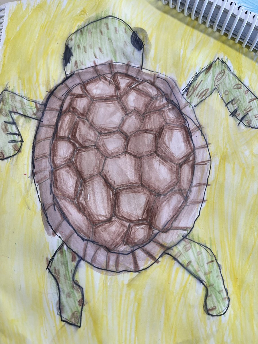 BPSHawks2 tweet media