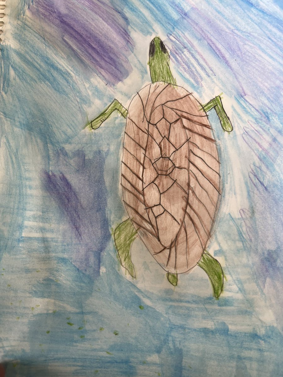 BPSHawks2 tweet media