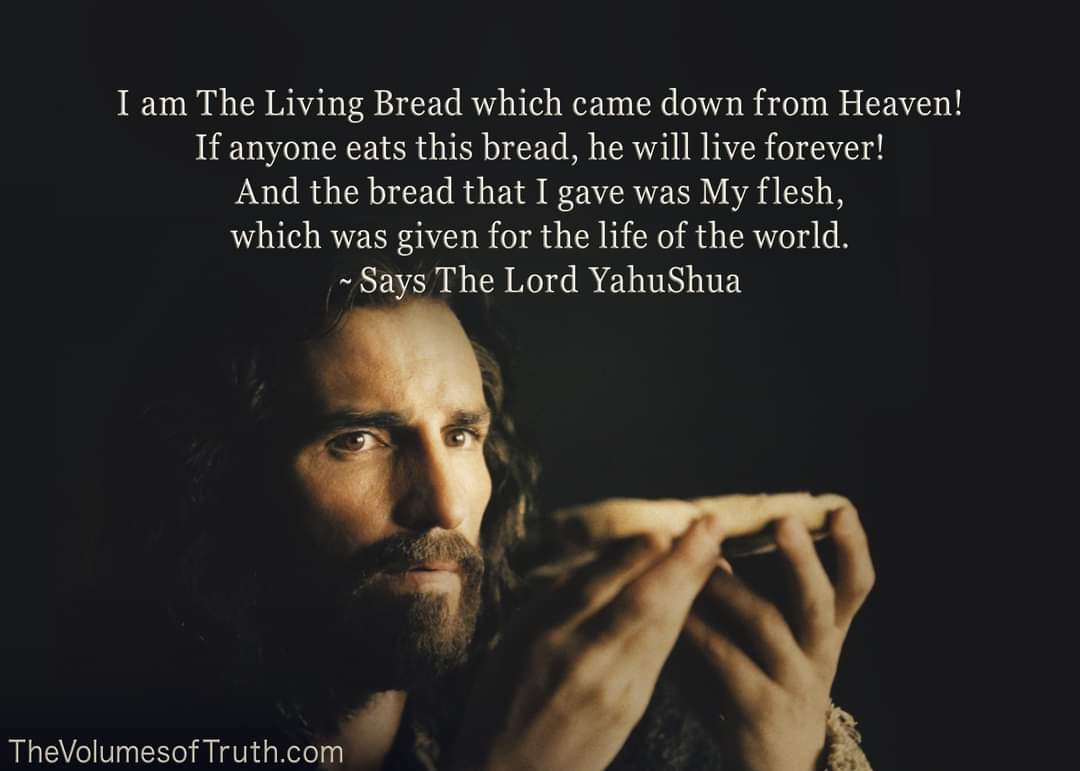 📖 Excerpt from: thevolumesoftruth.com/I_Am_The_Passo…

#TheVolumesofTruth #Prophecy #YAHUWAH #YahuShua #Jesus #TheWordofTheLord #TrueProphet #God #TheMessiah #HolyDays #Passover #LambofGod #crucifixion #PassionofChrist #NewCovenant