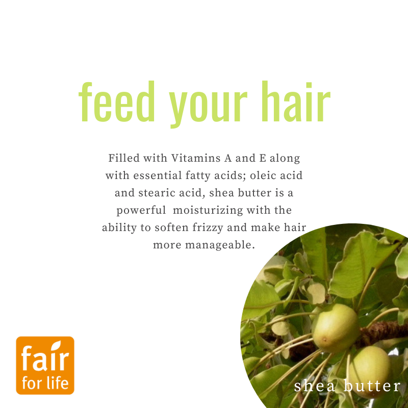 Nourish your locks with the richness of Fair Trade Certified Shea Butter - the secret to hydrated, shiny, and frizz-free hair! 🌿 ✨To learn more about us and the ingredients we use, click the link in our bio! 
.
.
#ekoehbrasil #feedyourhair #hairfoodcolorcream #vegan #organic