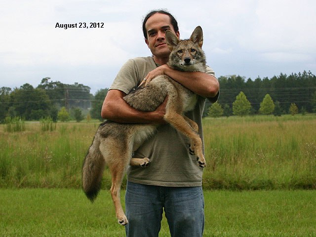HourlyYote's tweet photo. [🔗](https://t.co/2orLBBV1Rf) https://t.co/9lcR2VkyFr