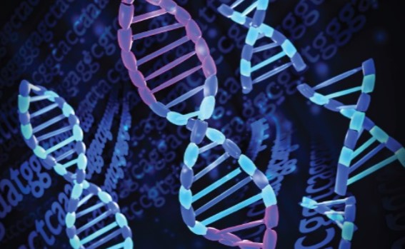 OncologyTimes's tweet image. Researchers conducted a groundbreaking study integrating genomic data, analyzing 13,880 #tumor samples from the UK's 100,000 #GenomesProject. The study highlights genetic biomarkers' power in identifying therapies for various #cancers. ow.ly/7ABr50Resob