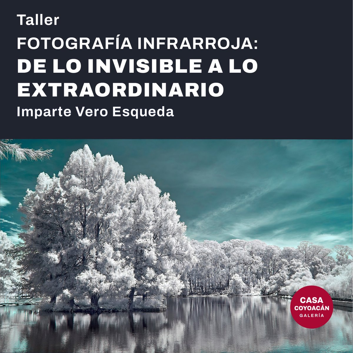 CasaCoyoacanG's tweet photo. 📸 ¿Quieres llevar tu fotografía a un nuevo nivel creativo? 

Con nuestro taller de fotografía infrarroja descubre un mundo visualmente transformado por la luz.

📍 Ubicación: Francisco Ortega 20, Centro Histórico de Coyoacán, CDMX.

📅 Fecha: 18 de mayo de 2024 https://t.co/ETumyZFXGt