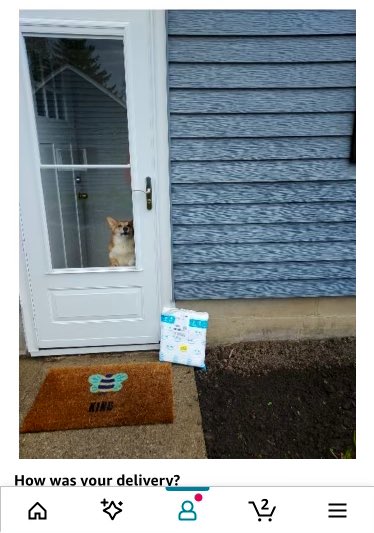 Dying at the Amazon delivery photo at my moms with Wanda on guard